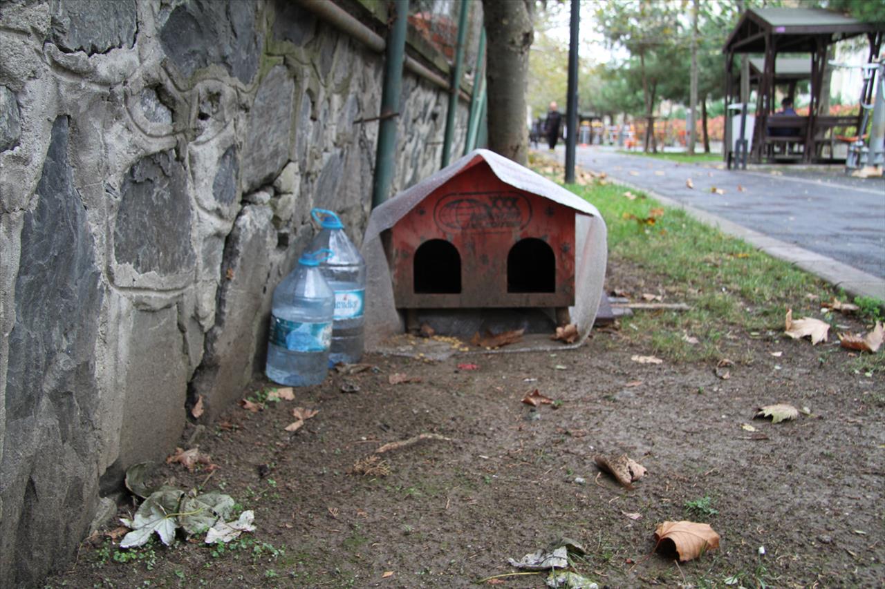 Cumhuriyet Yürüyüş Yolu Parkı