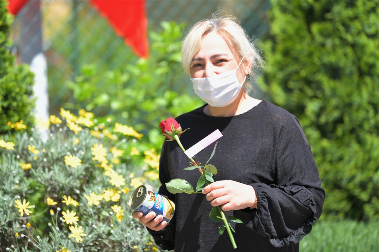 Esenyurt Belediyesi, Barınak Gönüllüsü Anneleri Unutmadı