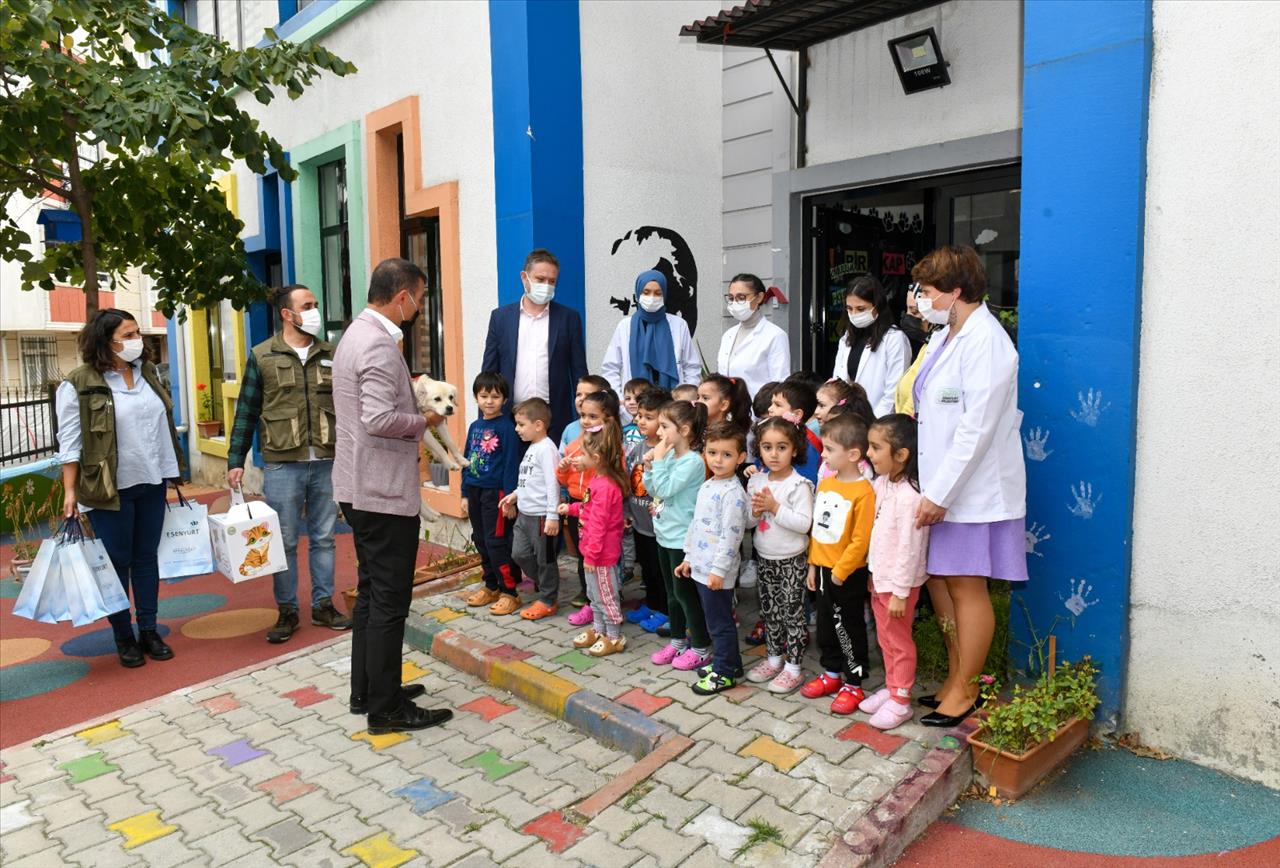 Harçlıkları İle Sokak Hayvanlarına Mama Aldılar!