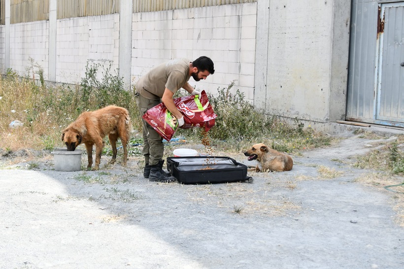 Esenyurt Belediyesi Can Dostlarımızı Yalnız Bırakmıyor