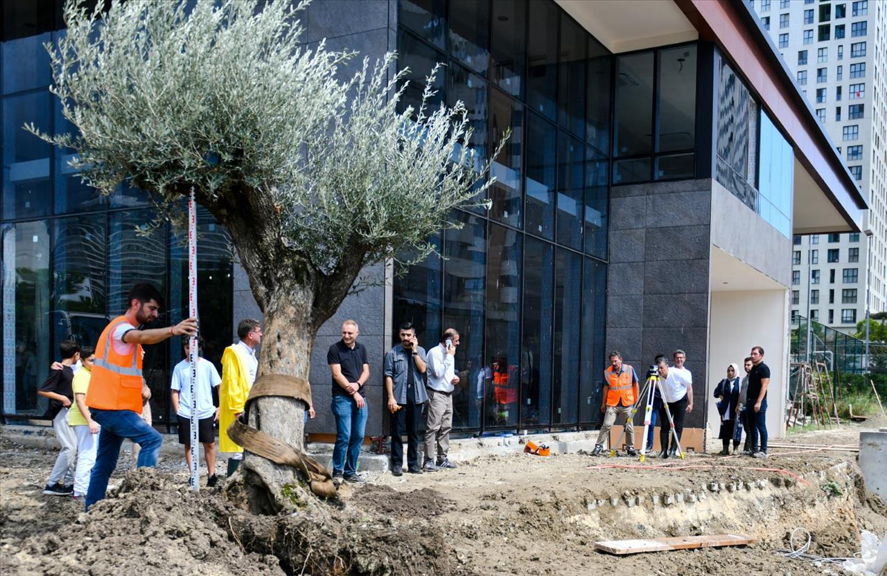 Başkan Bozkurt Çocuklarla Barış Ağacı Dikti