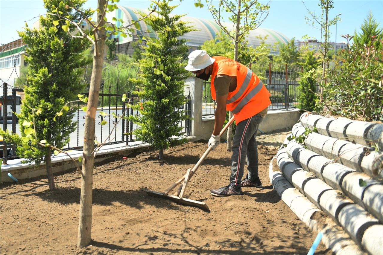 Park Ve Yeşil Alanlarda Bakım Çalışmaları Sürüyor 