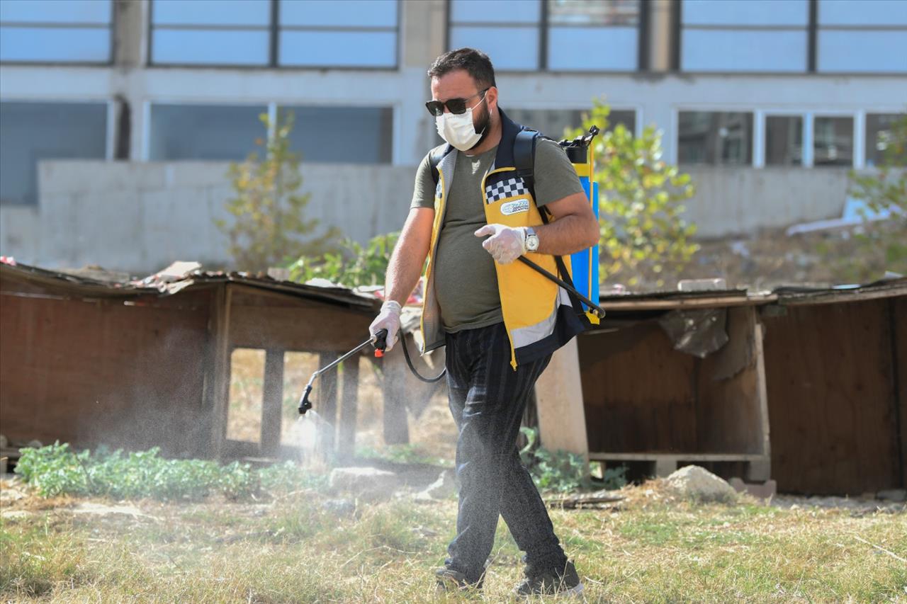 Esenyurt Belediyesi Hayvan Dostlarını Unutmadı