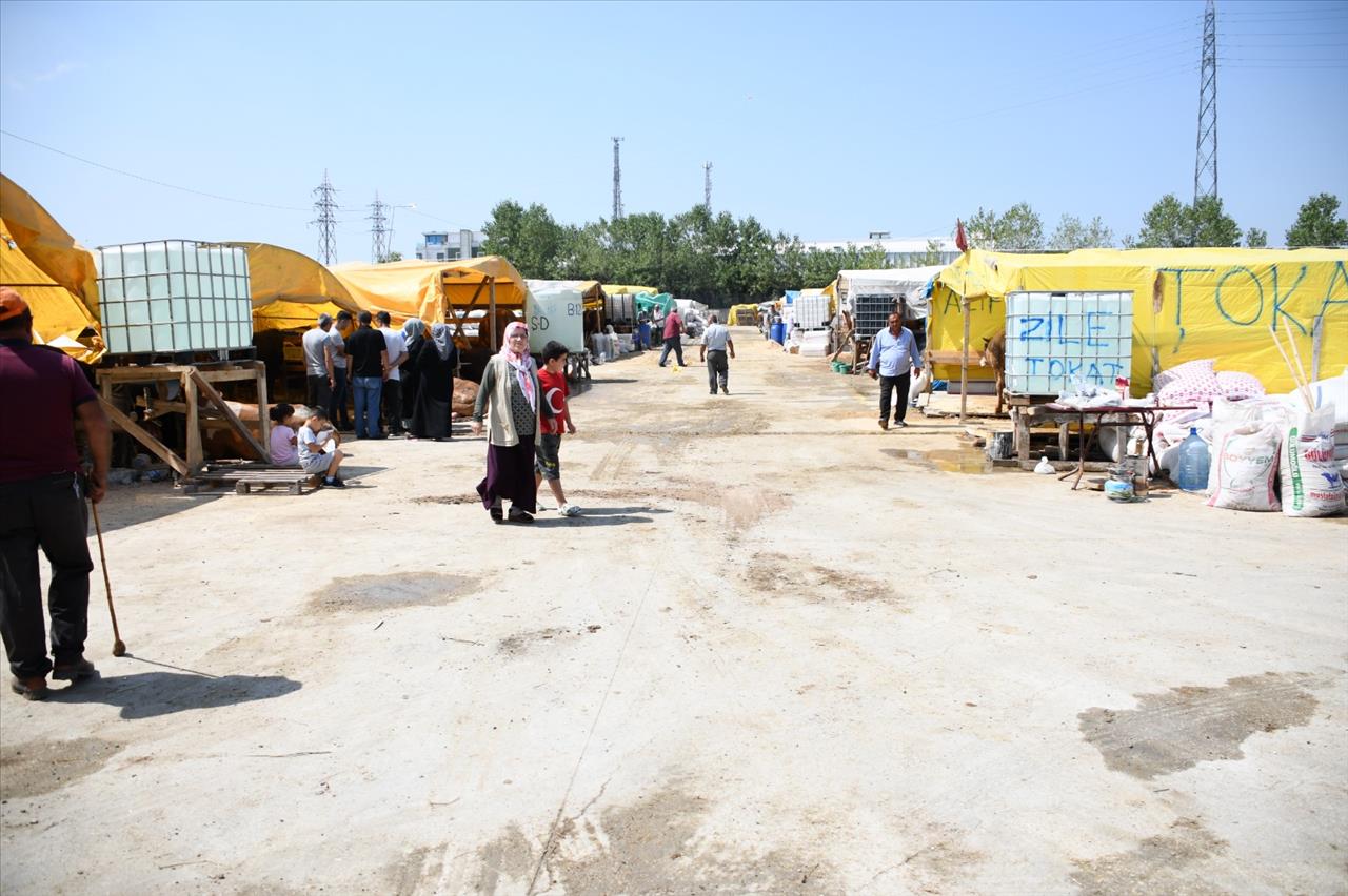 Esenyurt Kurban Bayramına hazır