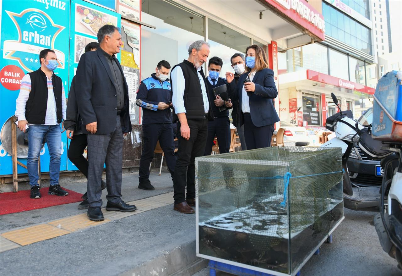 Esenyurt’ta Liyakatın Sembolü Oldu: 1,5 Milyonun Kadın Zabıta Müdürü 