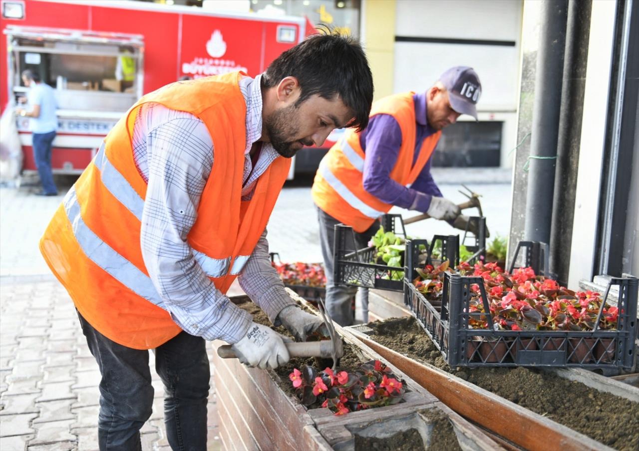 Selde Zarar Gören Çiçeklerin Yerine Yenisi Ekildi